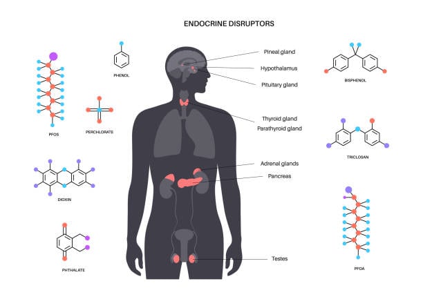 Conférence Perturbateurs endocriniens et PFAS : une menace pour la santé ! 1